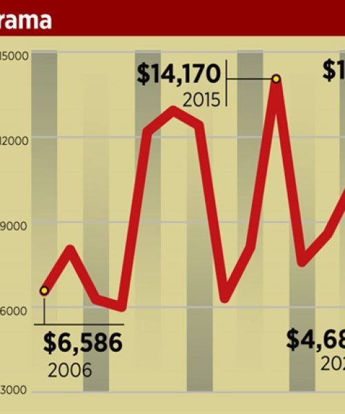 📰Auguran ‘boom’ de obra pública